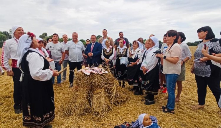 Министър Иван Иванов: Очертава се добра година за реколтата от пшеница